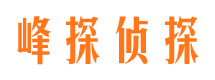 东城市私家侦探